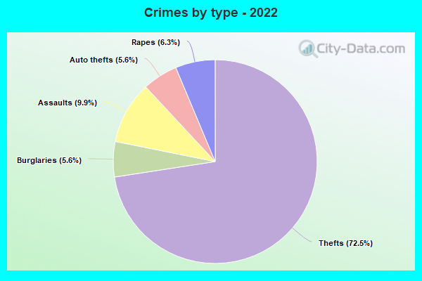 Crimes by type - 2022