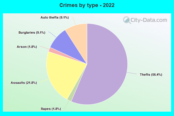 Crimes by type - 2022