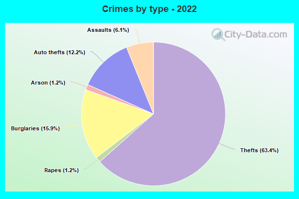 Crimes by type - 2022