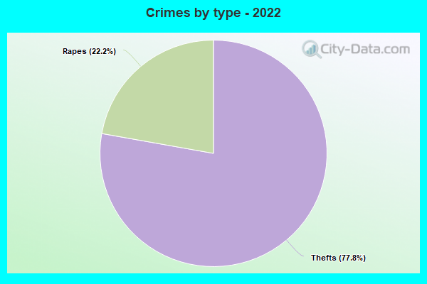 Crimes by type - 2022