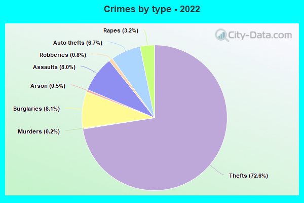 Crimes by type - 2022