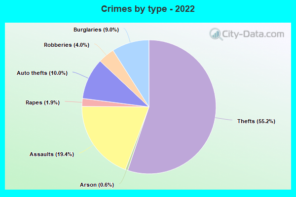 Crimes by type - 2022