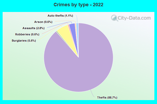 Crimes by type - 2022