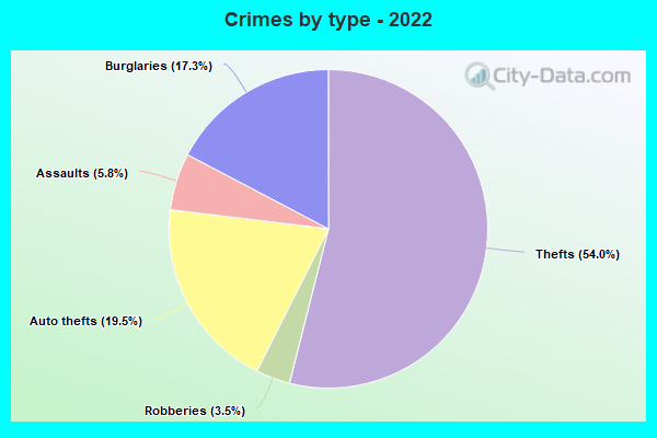 Crimes by type - 2022