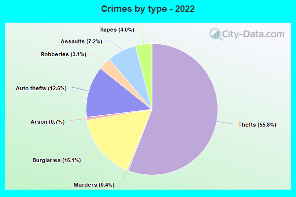 Crimes by type - 2022