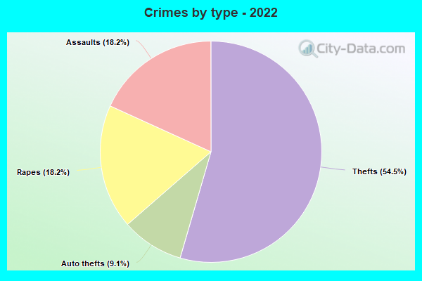 Crimes by type - 2022