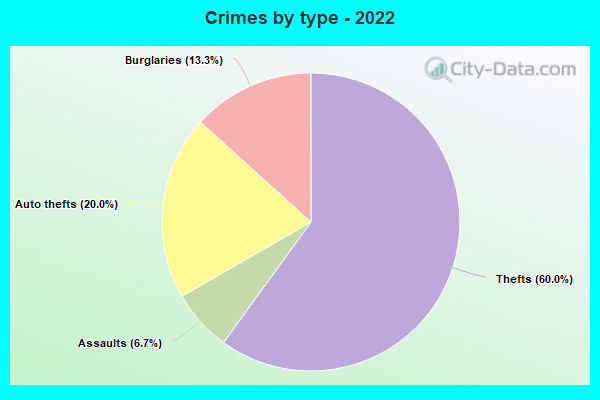 Crimes by type - 2022