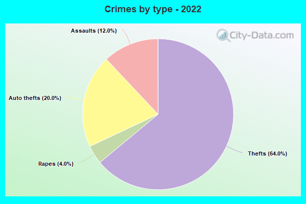 Crimes by type - 2022