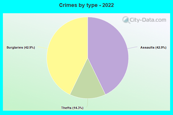 Crimes by type - 2022