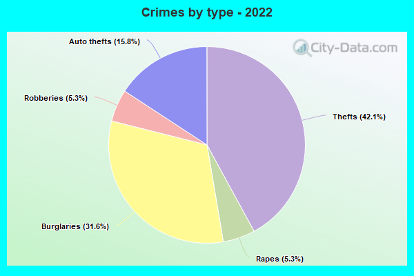 Crimes by type - 2022