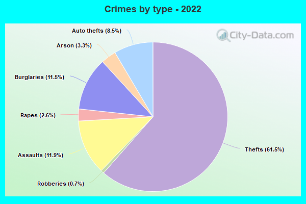 Crimes by type - 2022