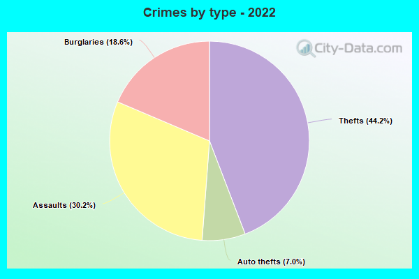 Crimes by type - 2022