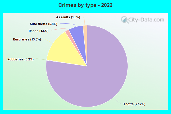 Crimes by type - 2022