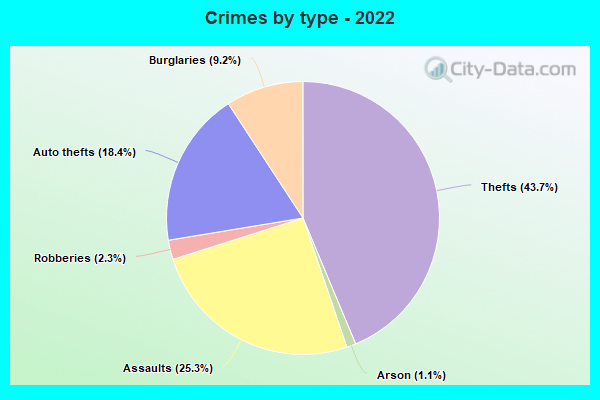 Crimes by type - 2022