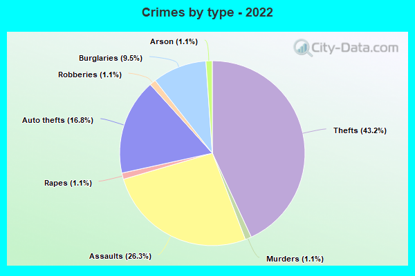 Crimes by type - 2022