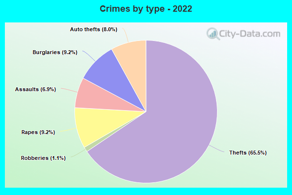 Crimes by type - 2022