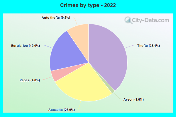 Crimes by type - 2022