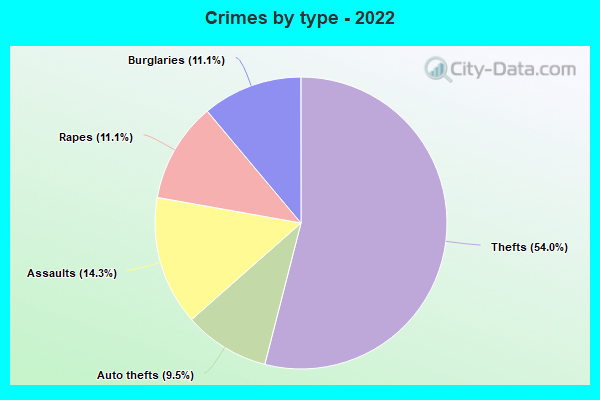 Crimes by type - 2022