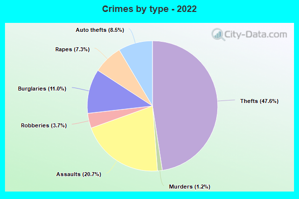 Crimes by type - 2022