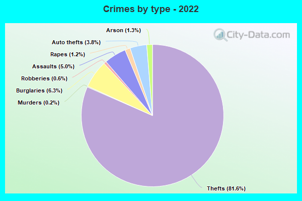 Crimes by type - 2022