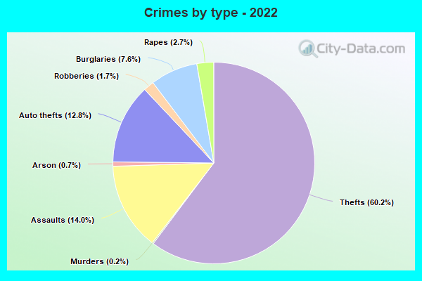 Crimes by type - 2022