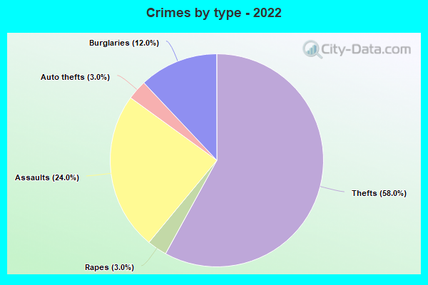 Crimes by type - 2022