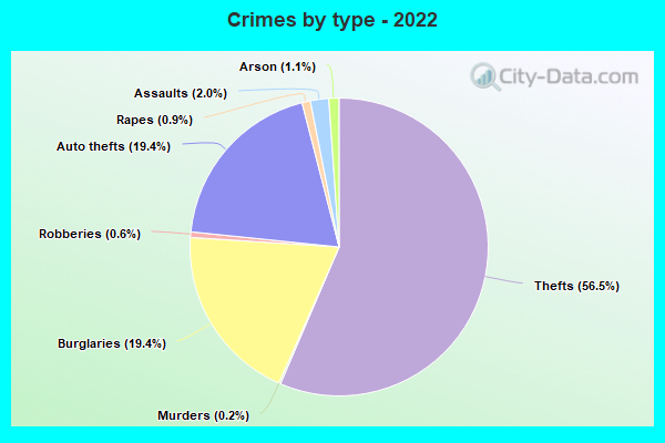 Crimes by type - 2022