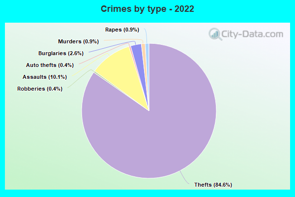 Crimes by type - 2022