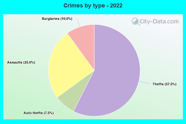 Crimes by type - 2022