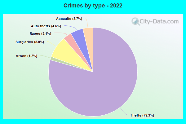 Crimes by type - 2022