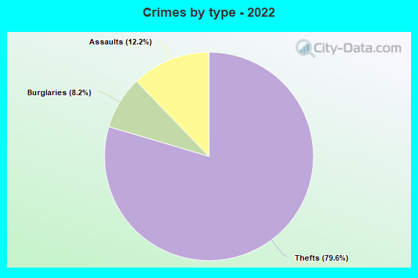 Crimes by type - 2022