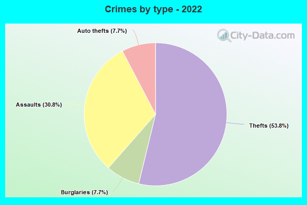 Crimes by type - 2022