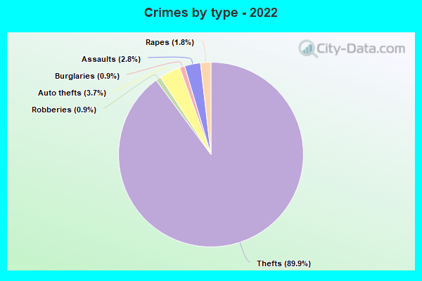 Crimes by type - 2022