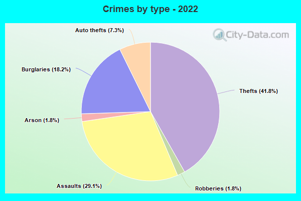 Crimes by type - 2022