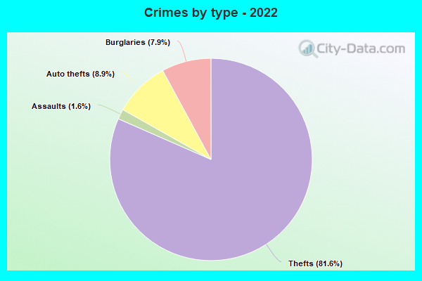 Crimes by type - 2022