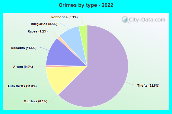 Crimes by type - 2022