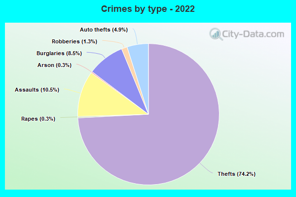 Crimes by type - 2022