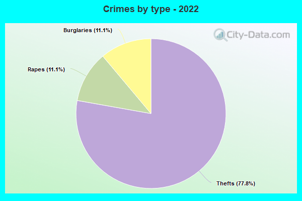 Crimes by type - 2022