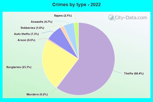 Crimes by type - 2022