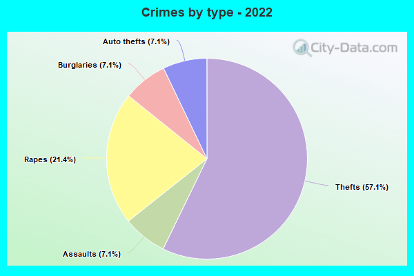 Crimes by type - 2022