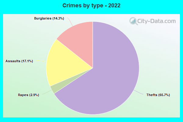 Crimes by type - 2022