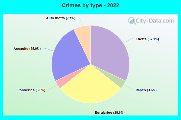 Crimes by type - 2022