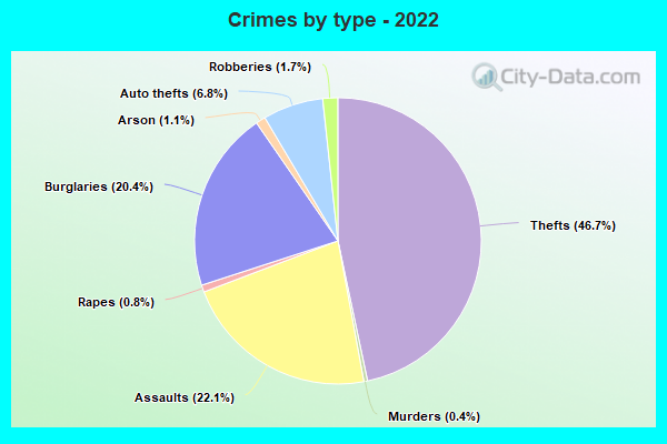 Crimes by type - 2022