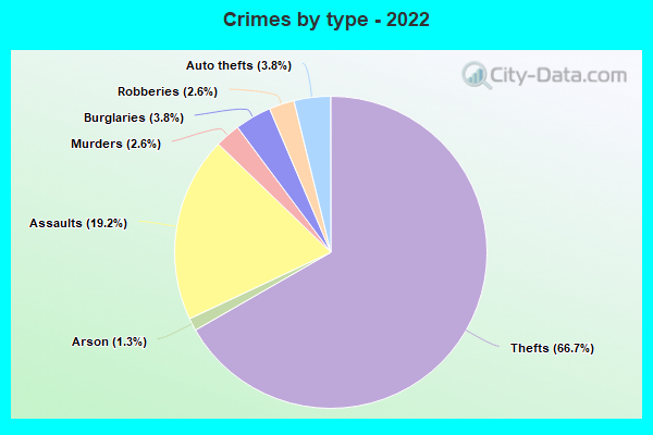 Crimes by type - 2022