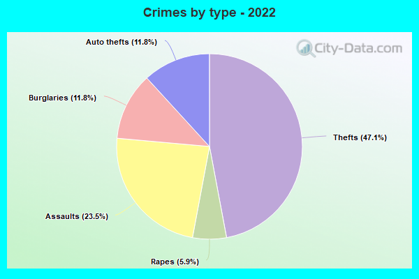 Crimes by type - 2022