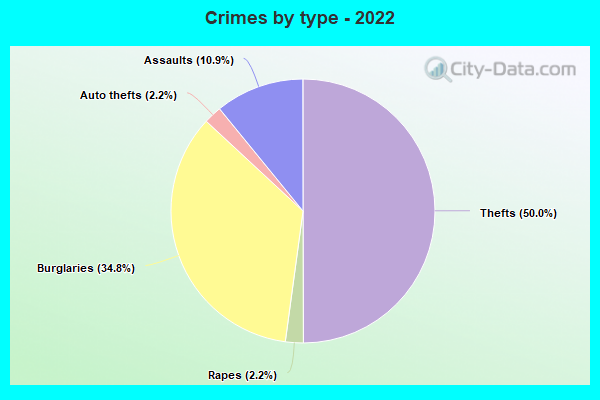 Crimes by type - 2022