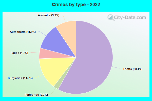 Crimes by type - 2022