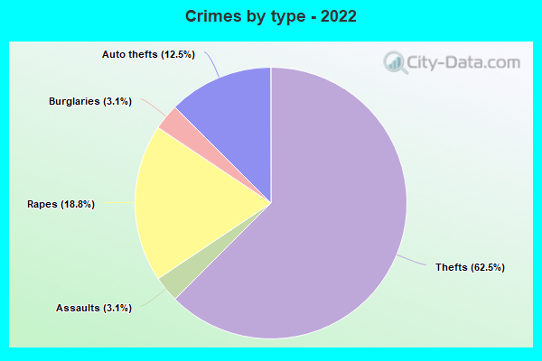 Crimes by type - 2022