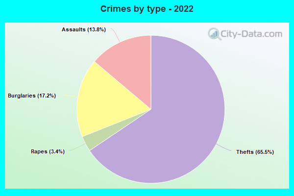 Crimes by type - 2022