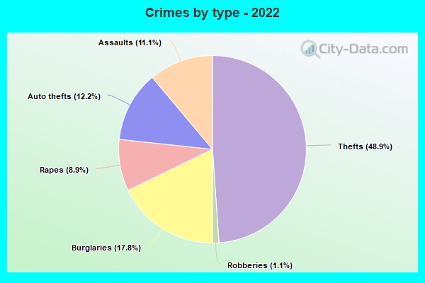 Crimes by type - 2022